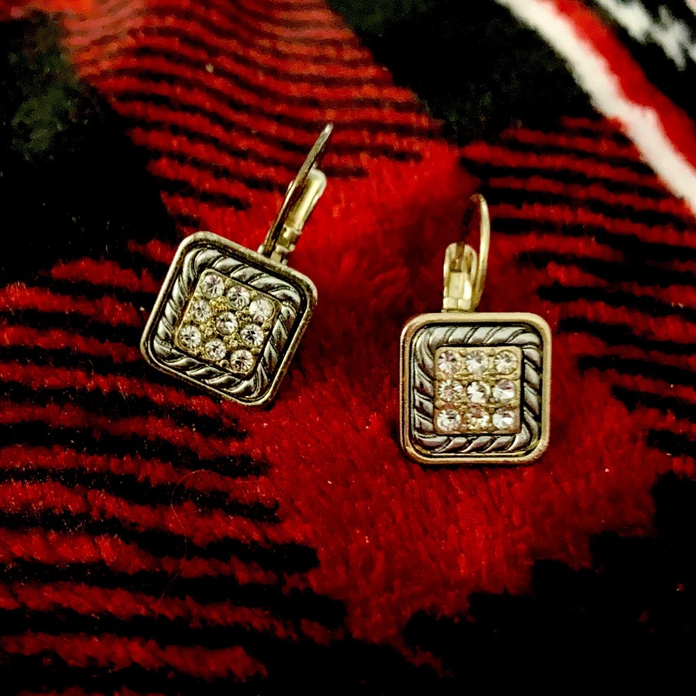 Classy 2-tone Earrings w/Clear Stones